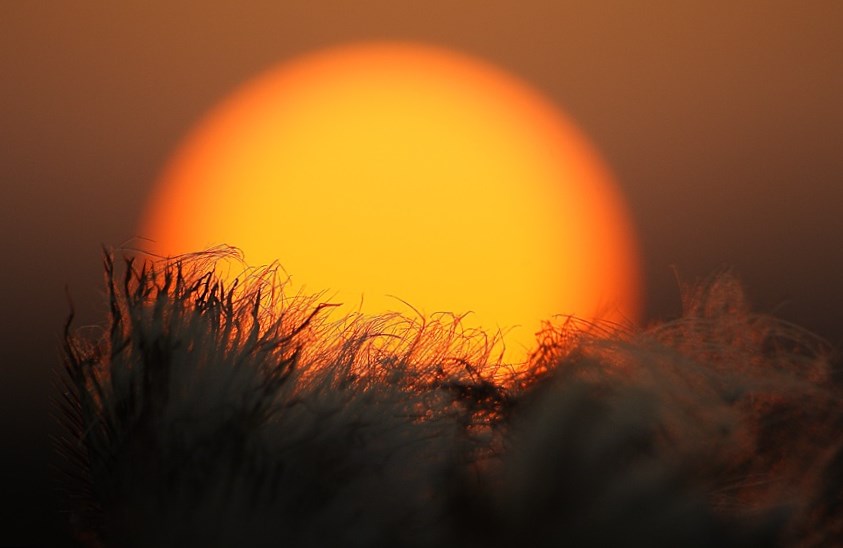 К 2020 году в России должен быть построен комплекс наблюдения за Солнцем