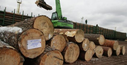 Немецкая компания Rettenmeier построит в Подмосковье завод по деревообработке