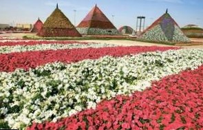45 миллионов цветов высажено в парке Дубая