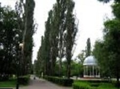 Участок земли в парке «Измайлово» в Москве отдан в аренду