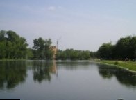 Вопрос строительства на территории Наташинского парка в Люберцах решит комиссия